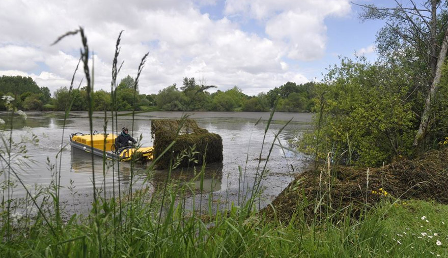 AEF (Atlantic Environnement Faucardage)